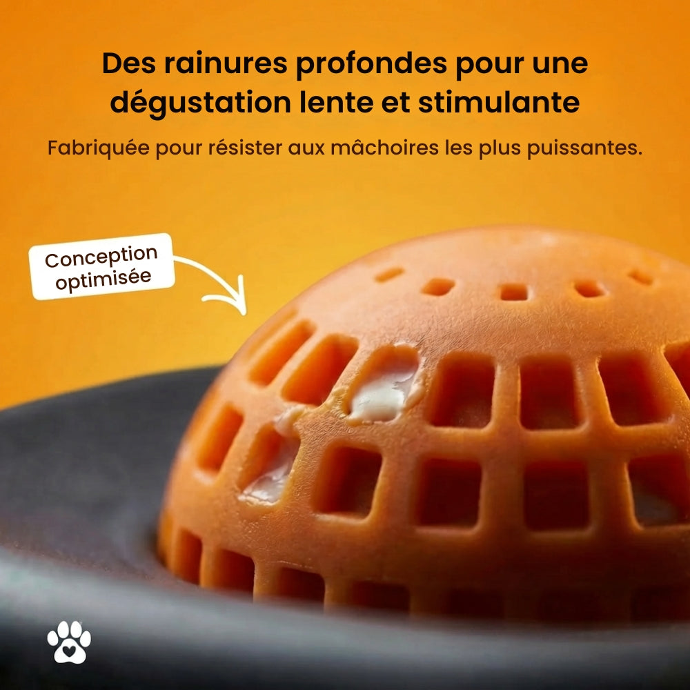 MiamZen™ – Écuelle Interactive Ralentisseuse pour Chiens
