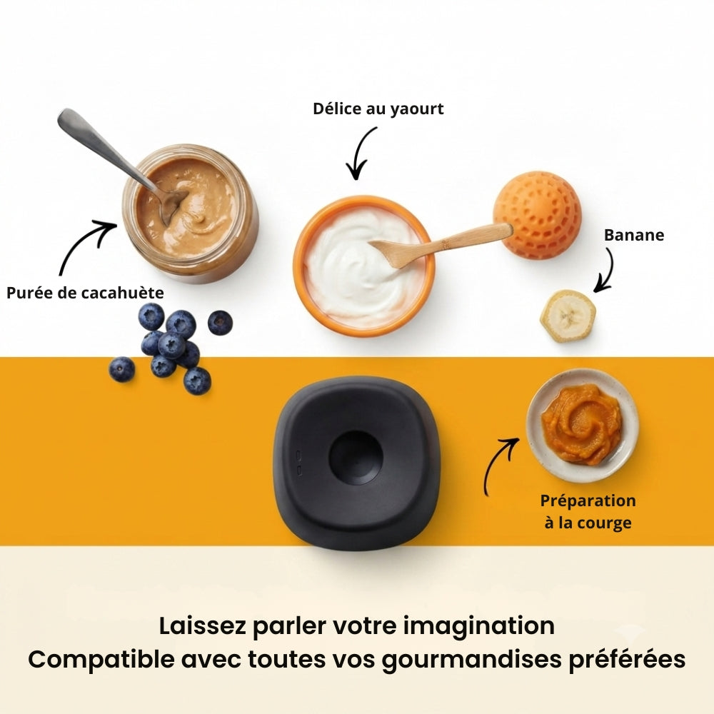 MiamZen™ – Écuelle Interactive Ralentisseuse pour Chiens