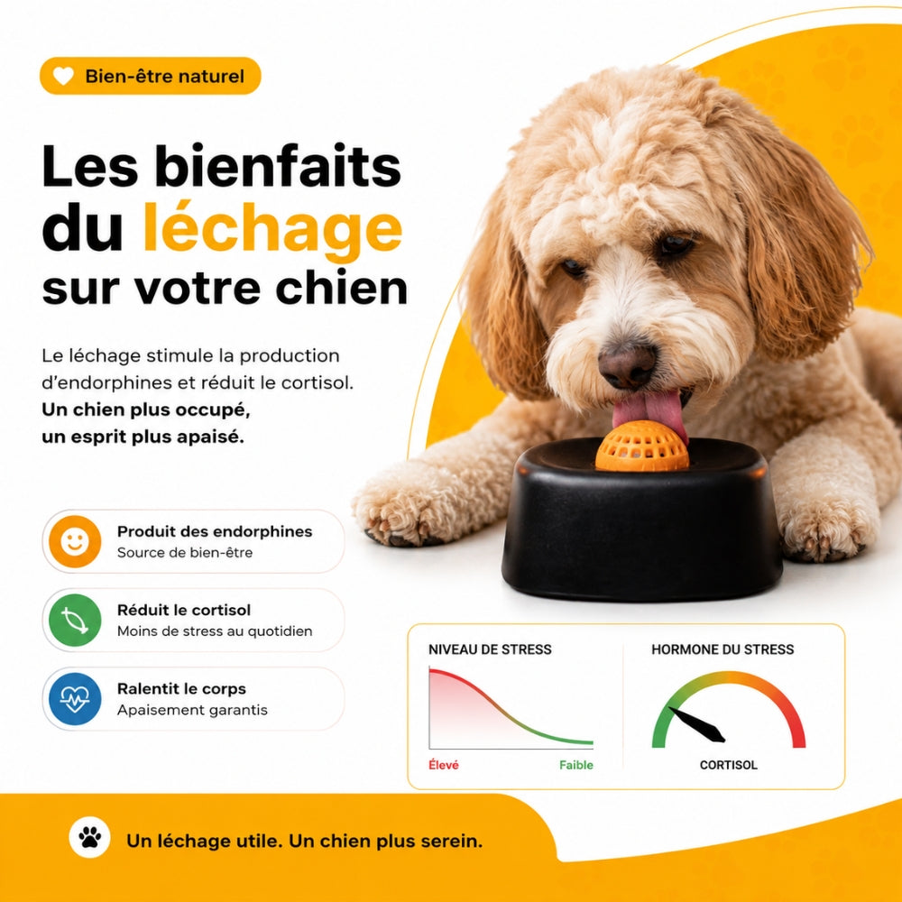 MiamZen™ – Écuelle Interactive Ralentisseuse pour Chiens