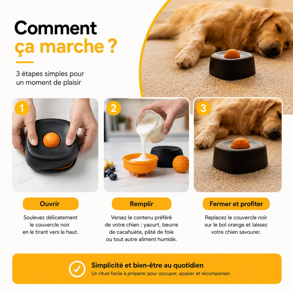 MiamZen™ – Écuelle Interactive Ralentisseuse pour Chiens