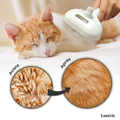 Dernier Jour -50% | CoatGlow™ Brosse de Toilettage pour Animaux
