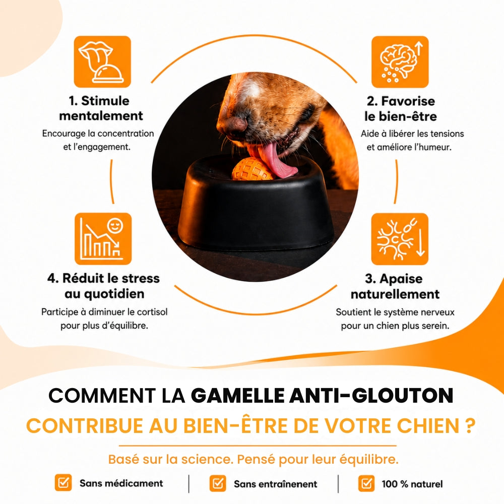 MiamZen™ – Écuelle Interactive Ralentisseuse pour Chiens