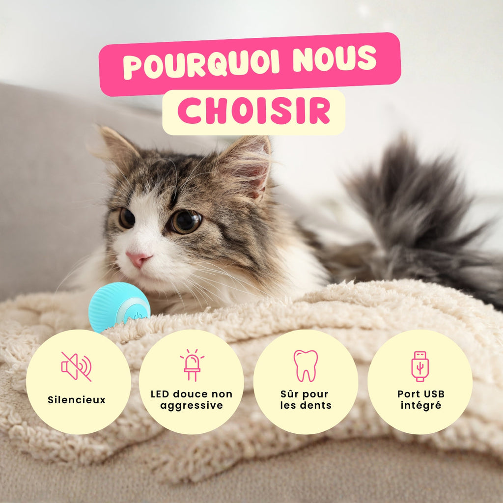 ChatJoue™ – Balle Interactive pour Chat