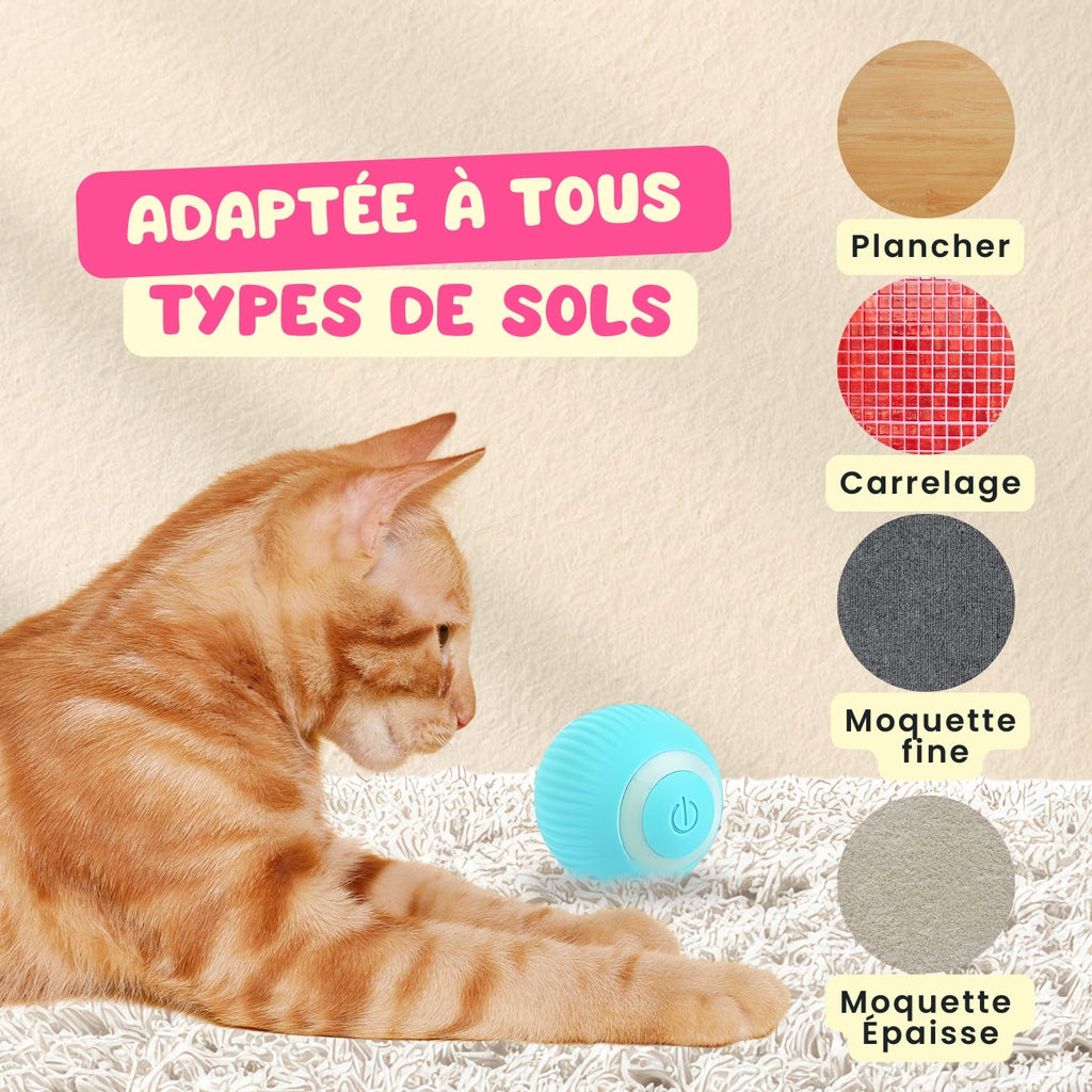ChatJoue™ – Balle Interactive pour Chat