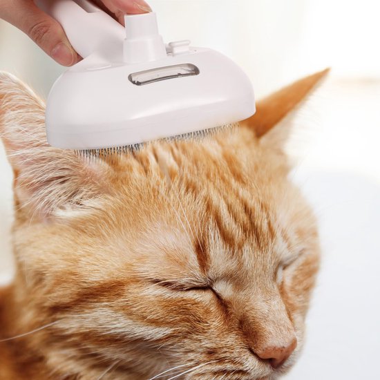 Dernier Jour -50% | CoatGlow™ Brosse de Toilettage pour Animaux