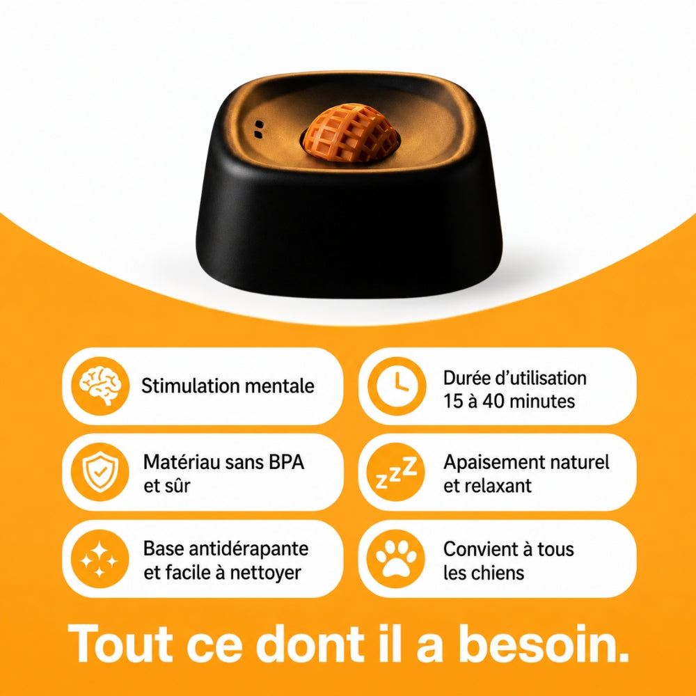 MiamZen™ – Écuelle Interactive Ralentisseuse pour Chiens