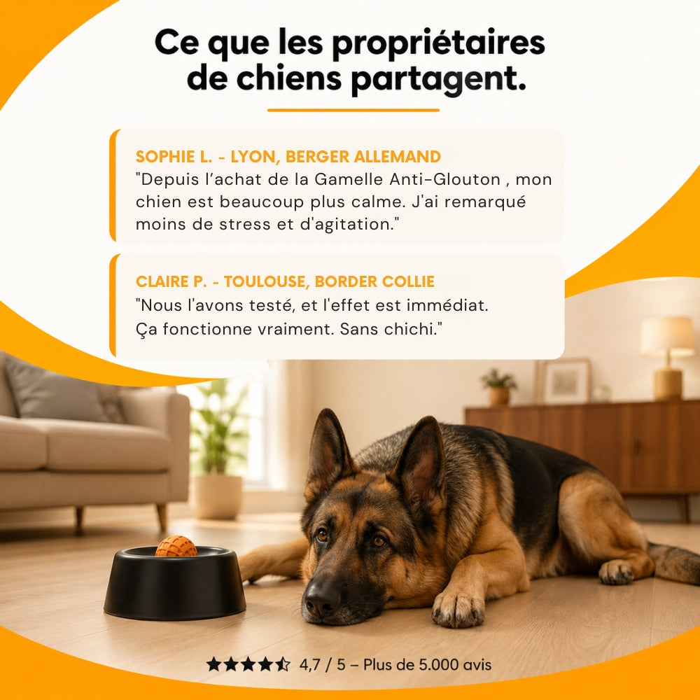 MiamZen™ – Écuelle Interactive Ralentisseuse pour Chiens