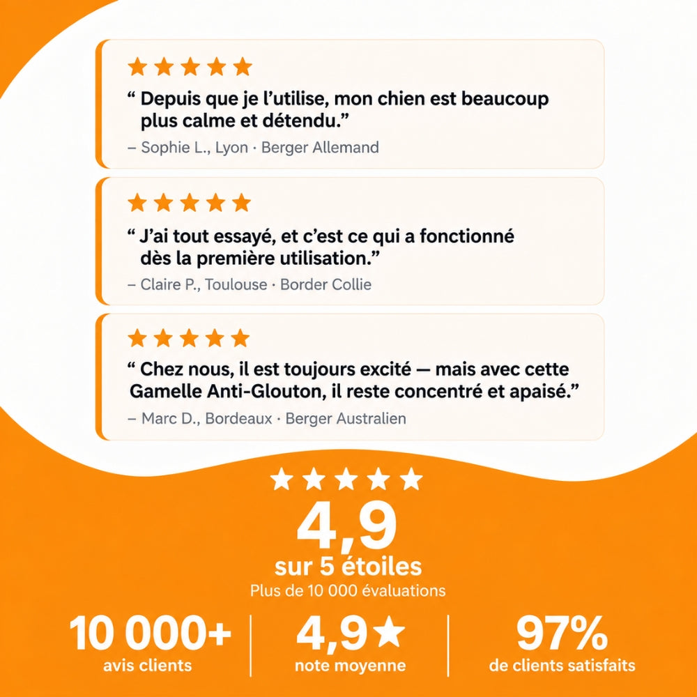 MiamZen™ – Écuelle Interactive Ralentisseuse pour Chiens