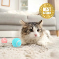 ChatJoue™ – Balle Interactive pour Chat