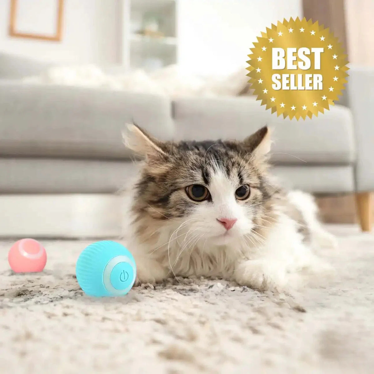 ChatJoue™ – Balle Interactive pour Chat
