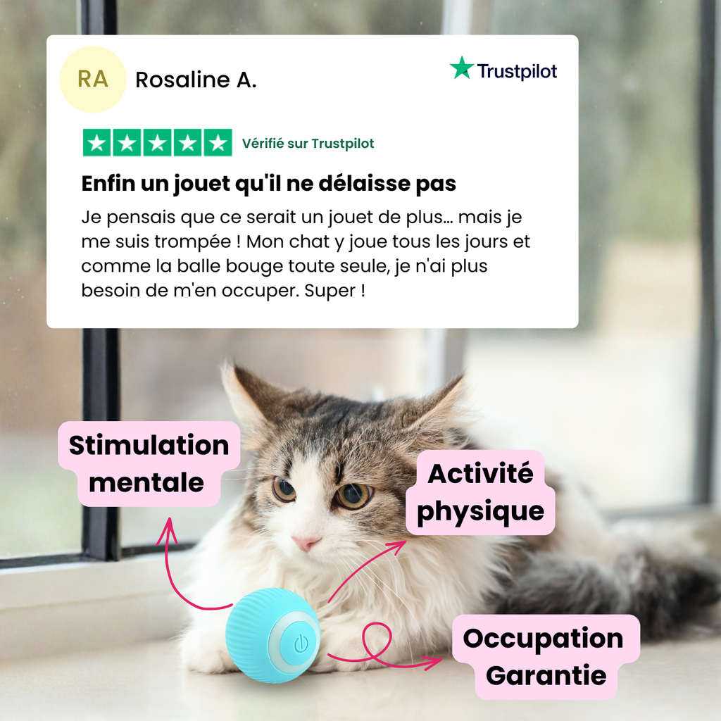 ChatJoue™ – Balle Interactive pour Chat