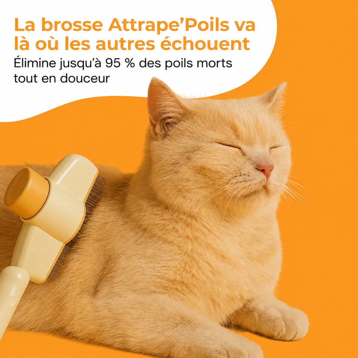PoilZen™ – Brosse Attrape-Poils pour Animaux