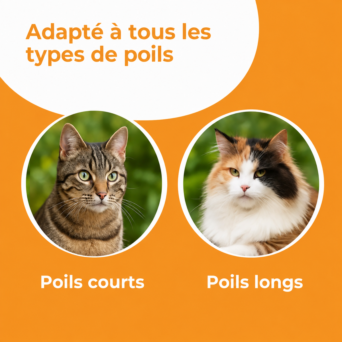 PoilZen™ – Brosse Attrape-Poils pour Animaux