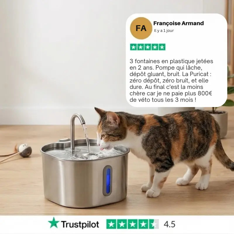 ChatSource™ – Fontaine à Eau pour Chat