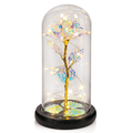 ÉclatCéleste™ – Rose Lumineuse Multicolore sous Cloche en Verre