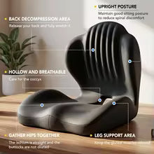 Assiséa™ – Coussin Ergonomique avec Soutien du Dos