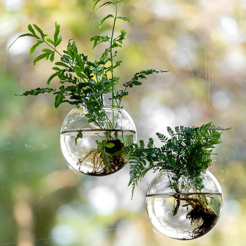 RacineClair™ – Bulle en Verre pour Boutures de Plantes