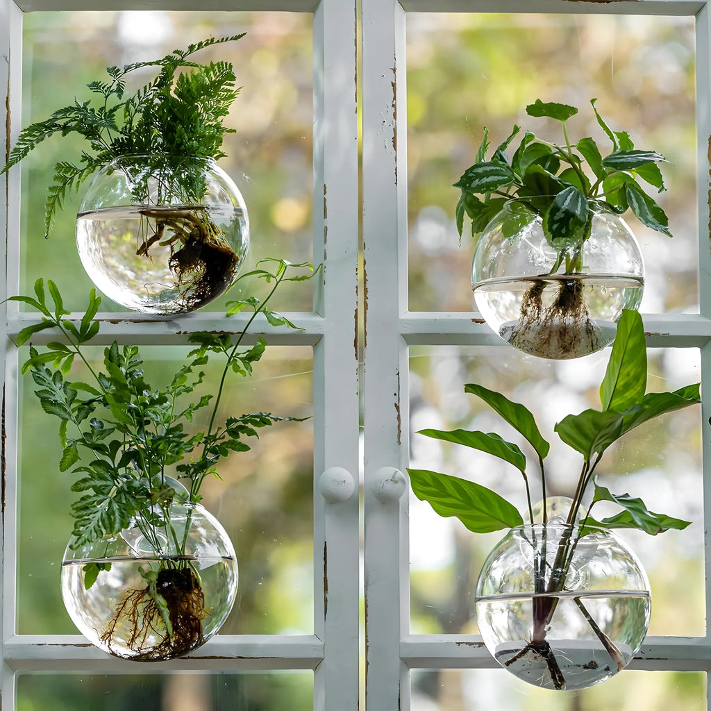 RacineClair™ – Bulle en Verre pour Boutures de Plantes