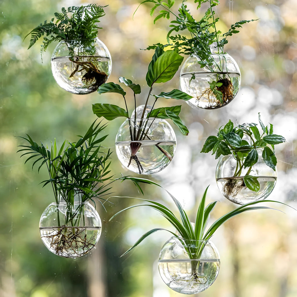 RacineClair™ – Bulle en Verre pour Boutures de Plantes