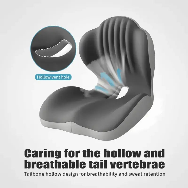 Assiséa™ – Coussin Ergonomique avec Soutien du Dos