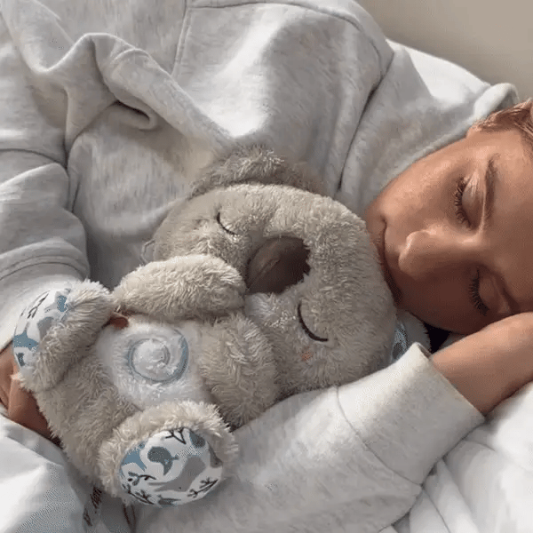 KoalaSerein™ – Peluche Respirante Apaisante