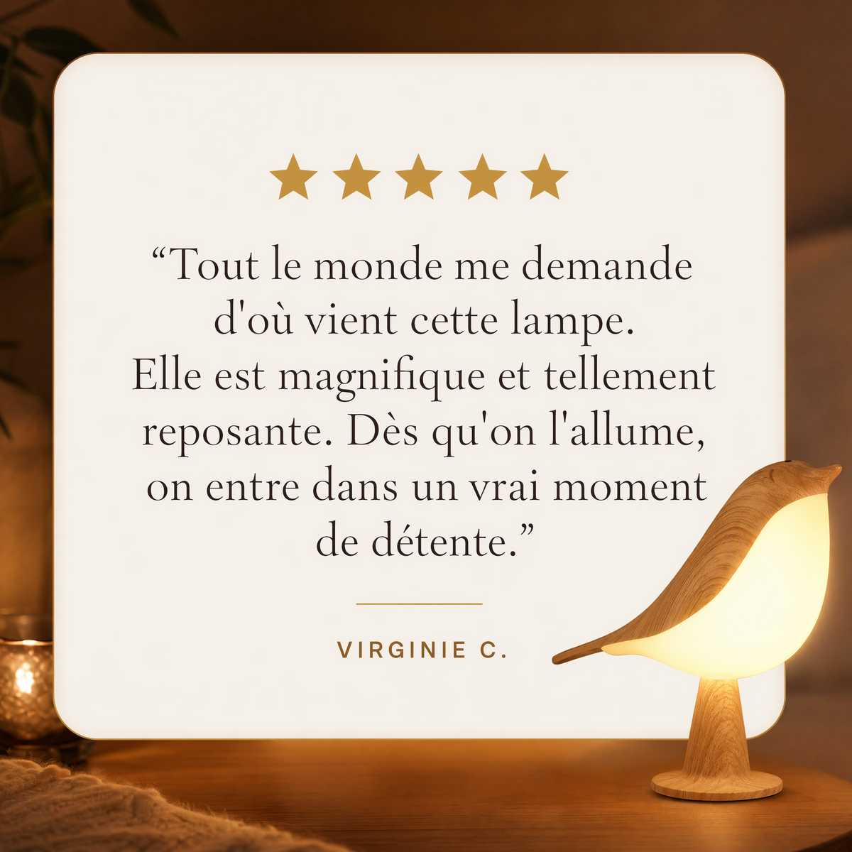 LumiAile™ – Oiseau Lumineux Décoratif