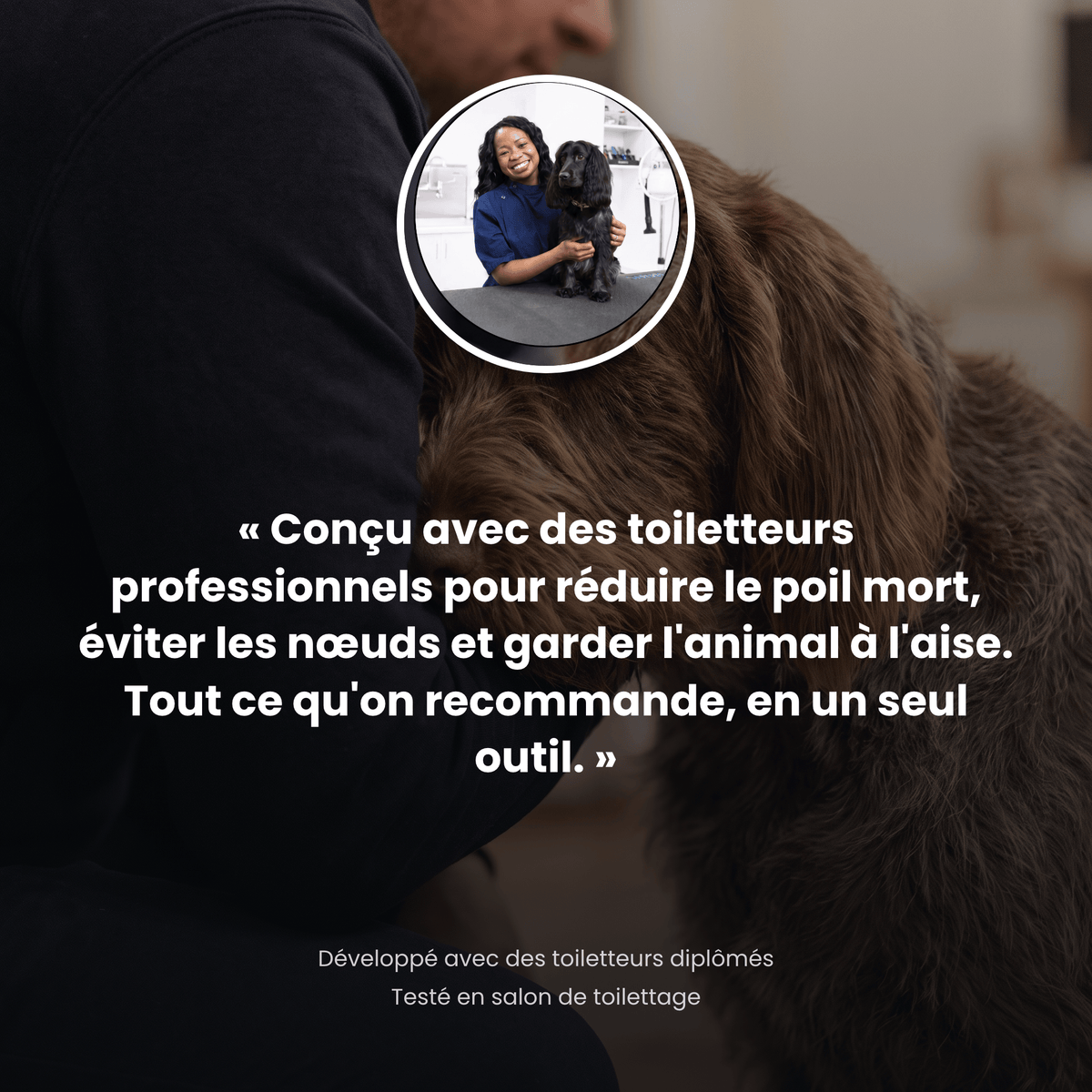 PelageSoin™ – Brosse Anti-Poils Morts pour Animaux