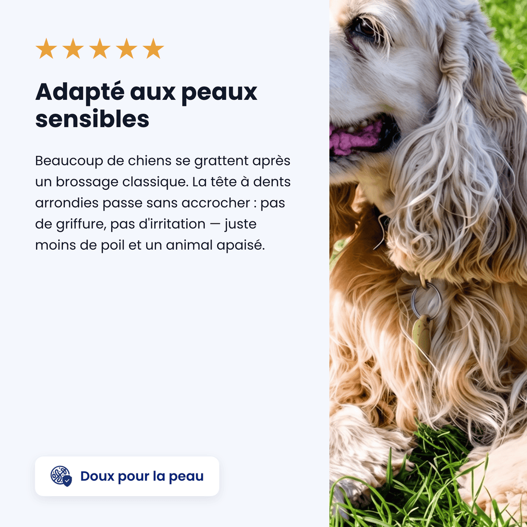PelageSoin™ – Brosse Anti-Poils Morts pour Animaux