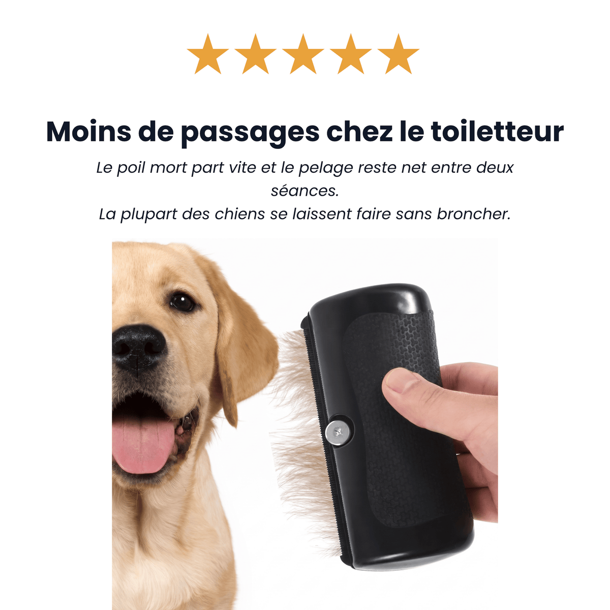 PelageSoin™ – Brosse Anti-Poils Morts pour Animaux