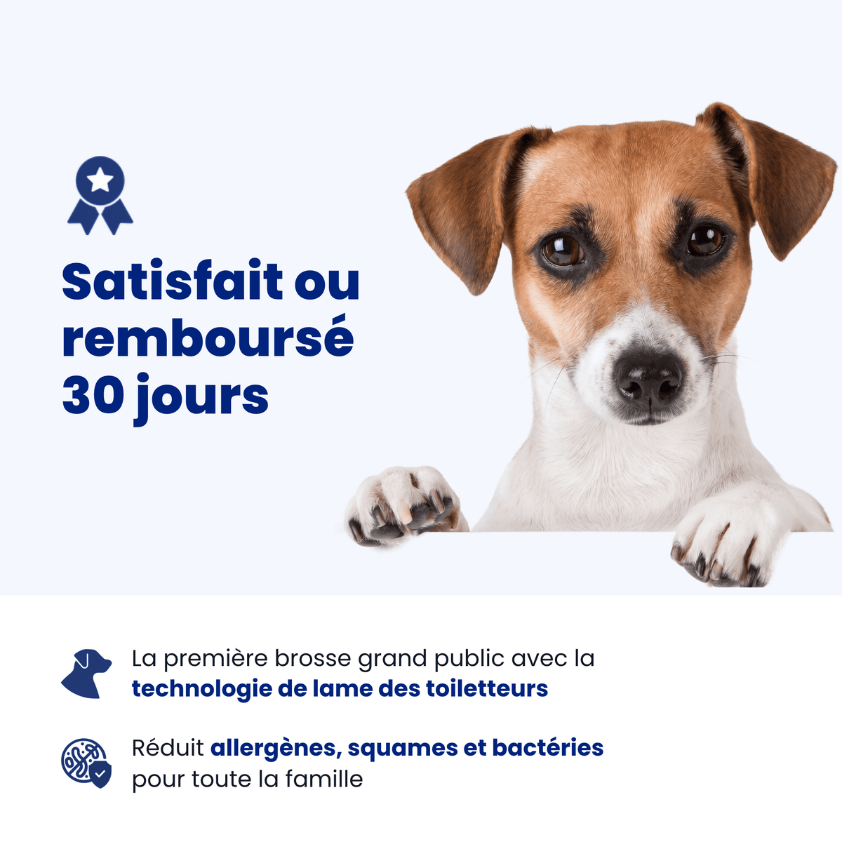 PelageSoin™ – Brosse Anti-Poils Morts pour Animaux
