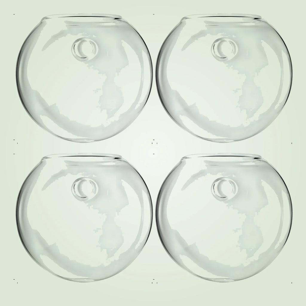 RacineClair™ – Bulle en Verre pour Boutures de Plantes