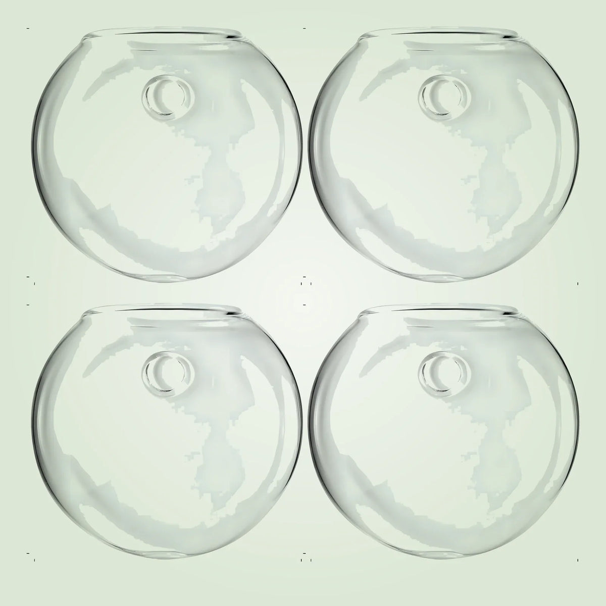 RacineClair™ – Bulle en Verre pour Boutures de Plantes