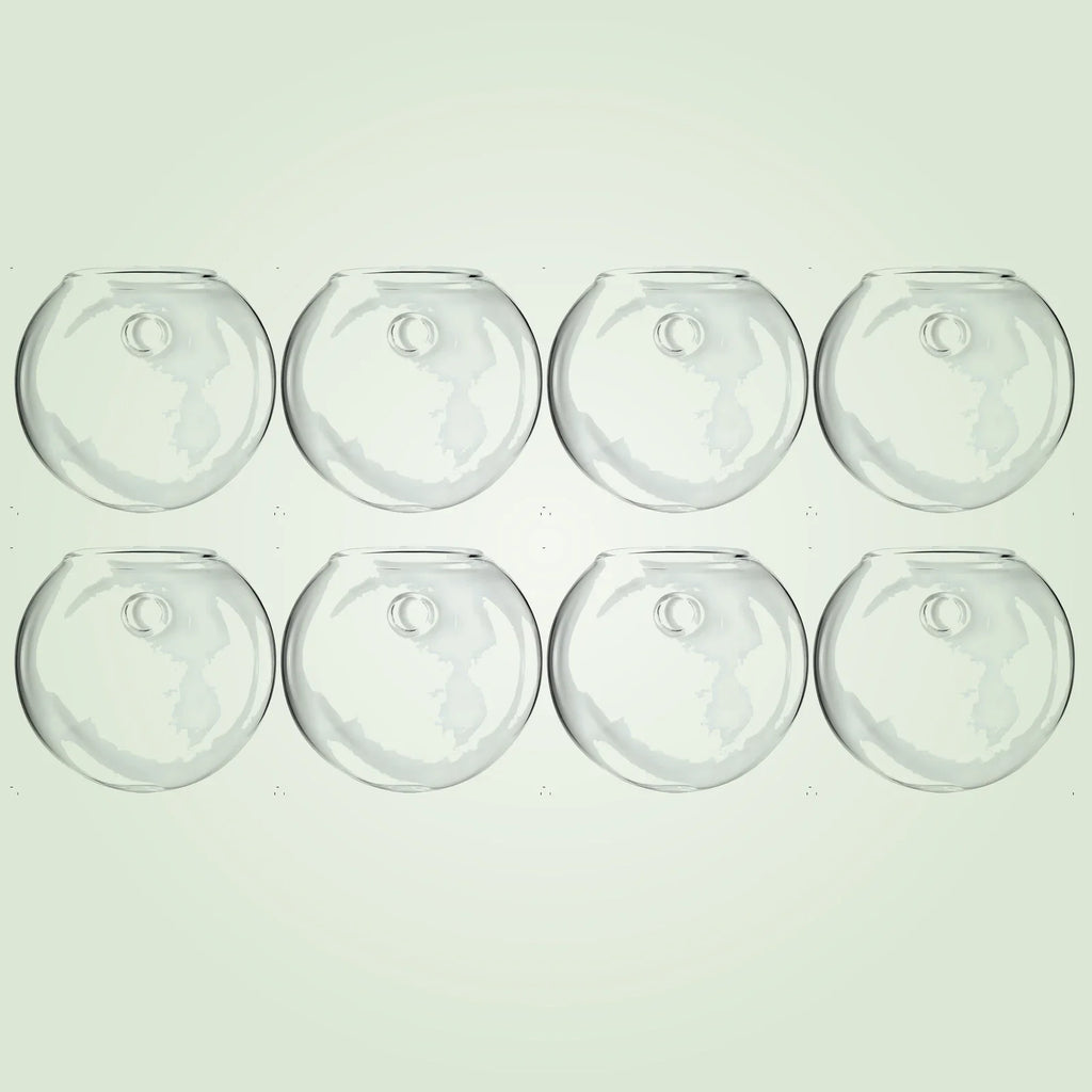 RacineClair™ – Bulle en Verre pour Boutures de Plantes