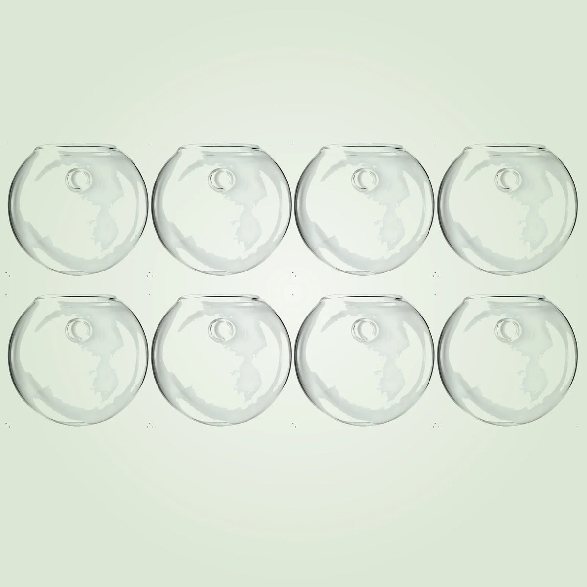 RacineClair™ – Bulle en Verre pour Boutures de Plantes